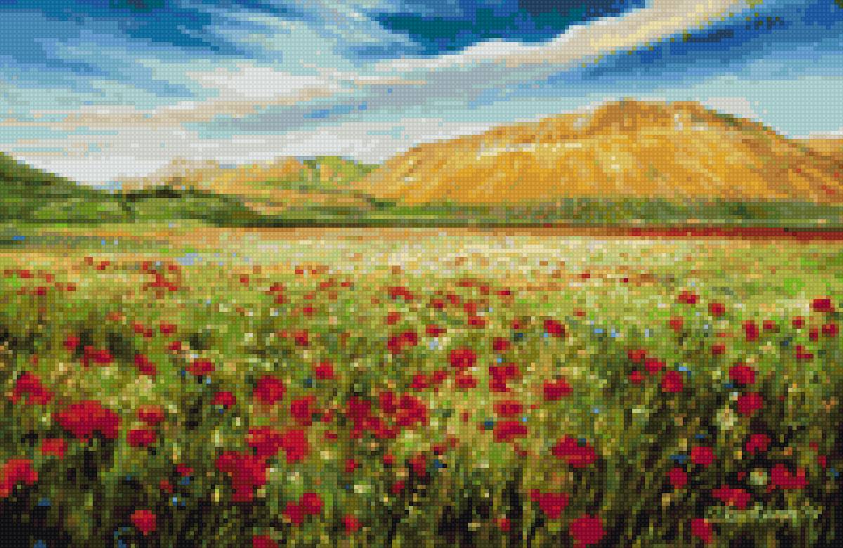 маковое поле - предпросмотр