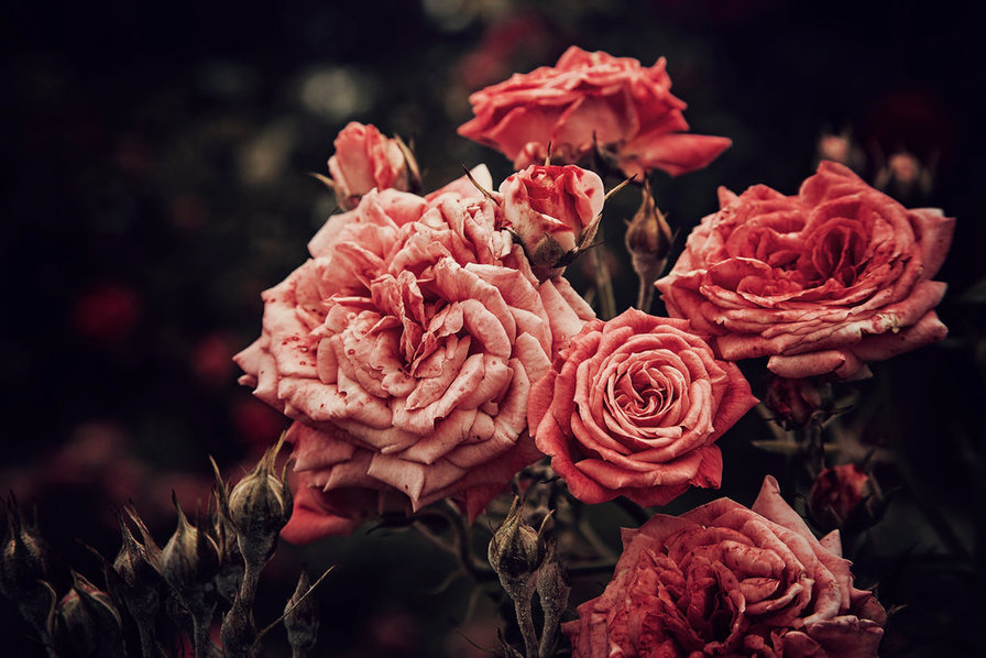 №1632166 - оригинал