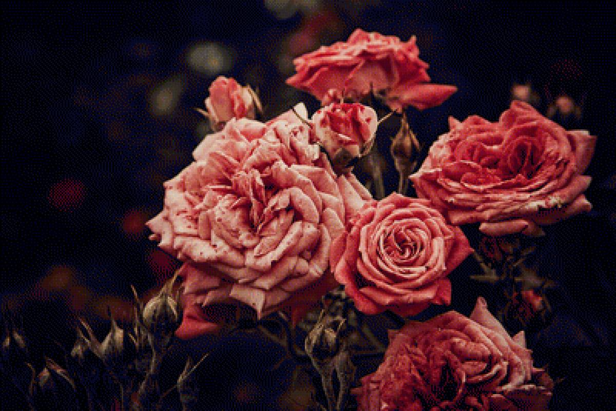 №1632166 - предпросмотр