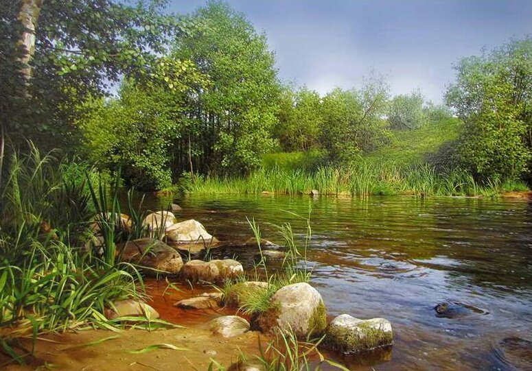 ЛЕСНОЙ ПЕЙЗАЖ - лесной пейзаж, вода - оригинал