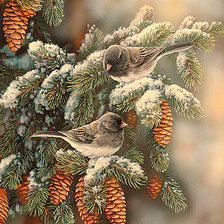 птицы зимой