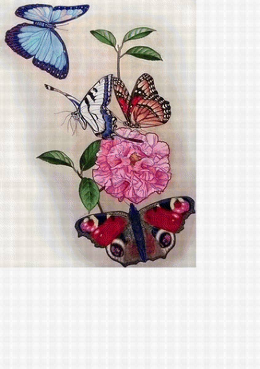 №1632577 - предпросмотр