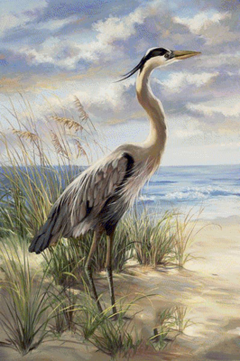 №1632746 - предпросмотр