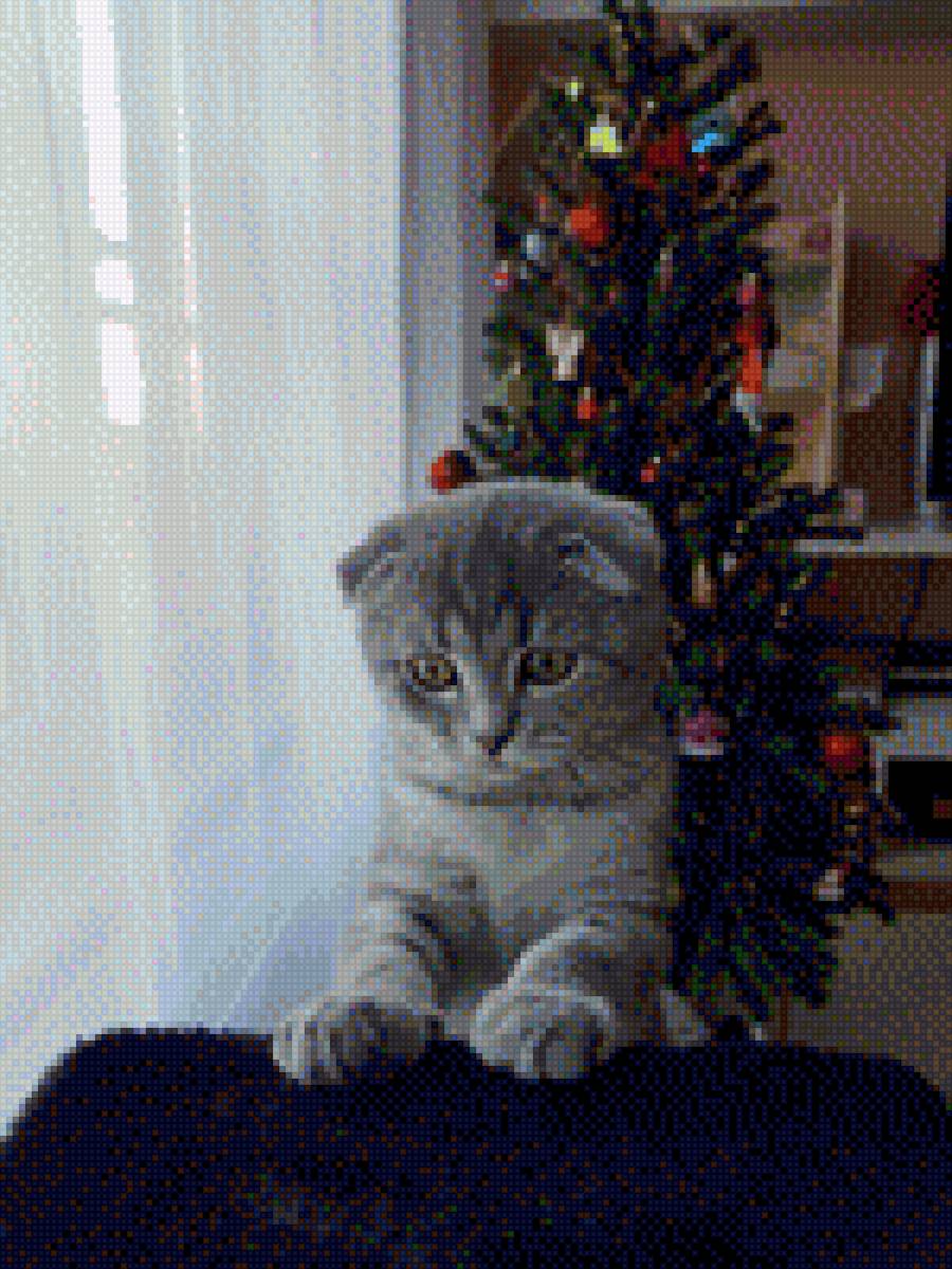 Симпатяга - любимец gucci - предпросмотр