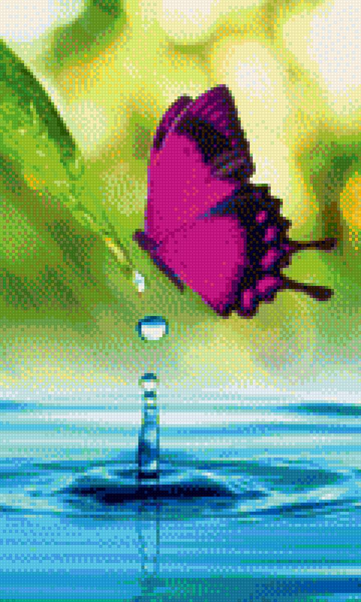 butterflay - предпросмотр