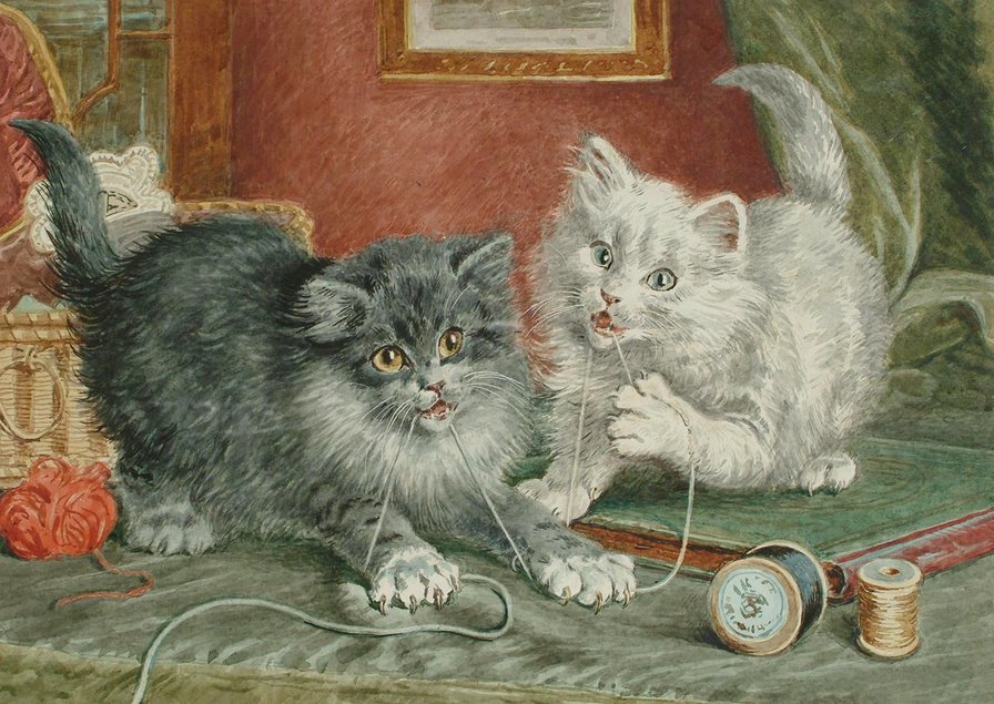 Котята - котята, домашние животные - оригинал