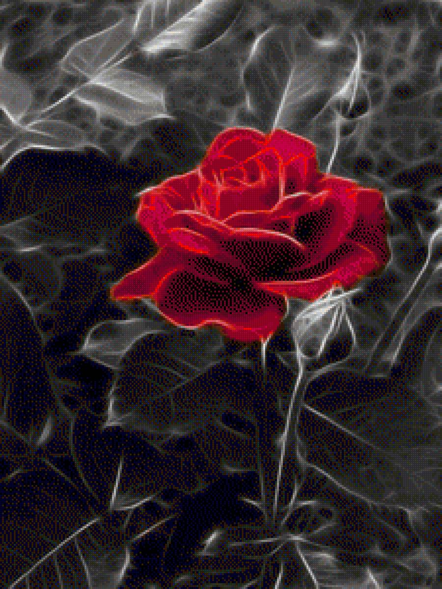 Rose Are Red - flores - предпросмотр