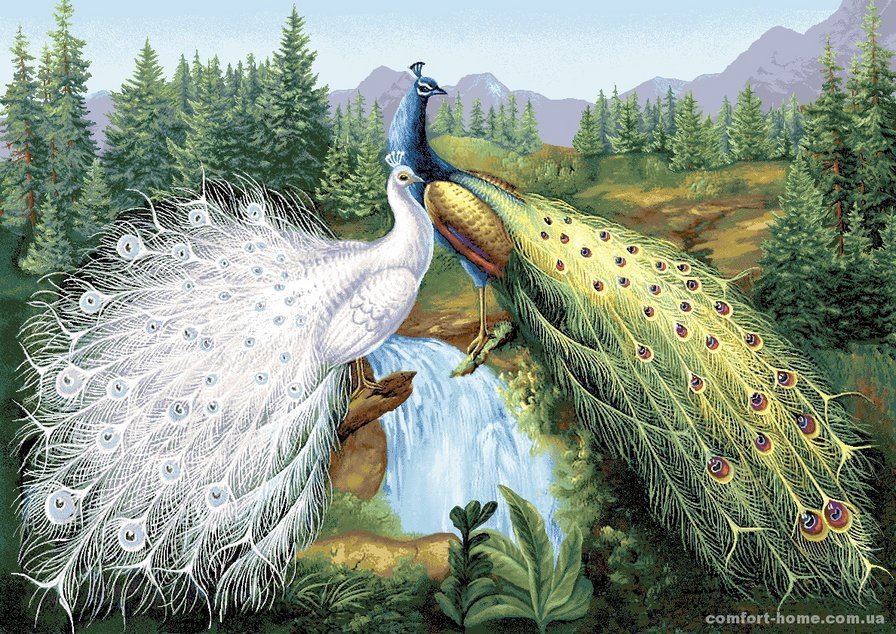 Павлины - павлины, водопад, природа - оригинал