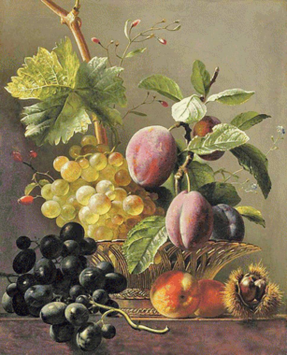 Натюрморт "Виноград и сливы" - натюрморт - предпросмотр