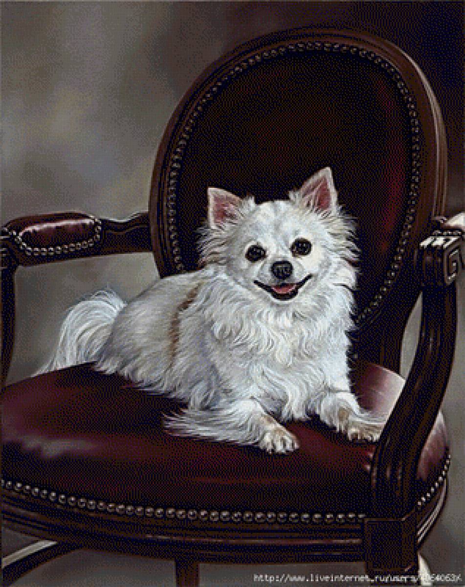 Pes - pes - предпросмотр