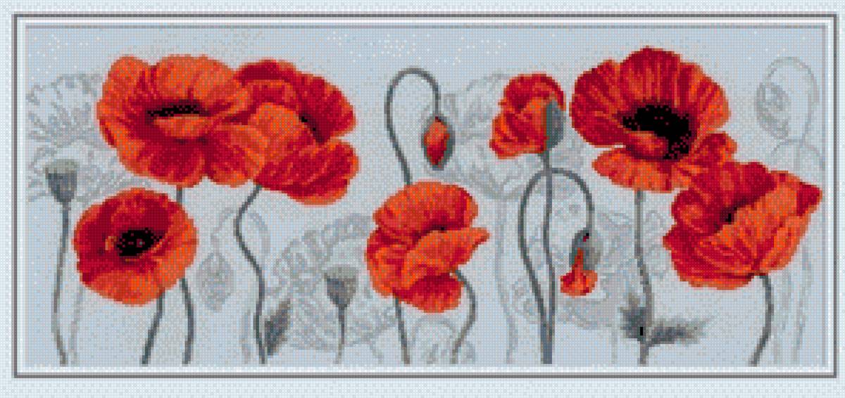 maki - kwiaty maki - предпросмотр