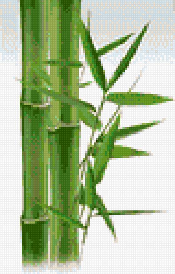 Бамбук - восток, азия, бамбук - предпросмотр