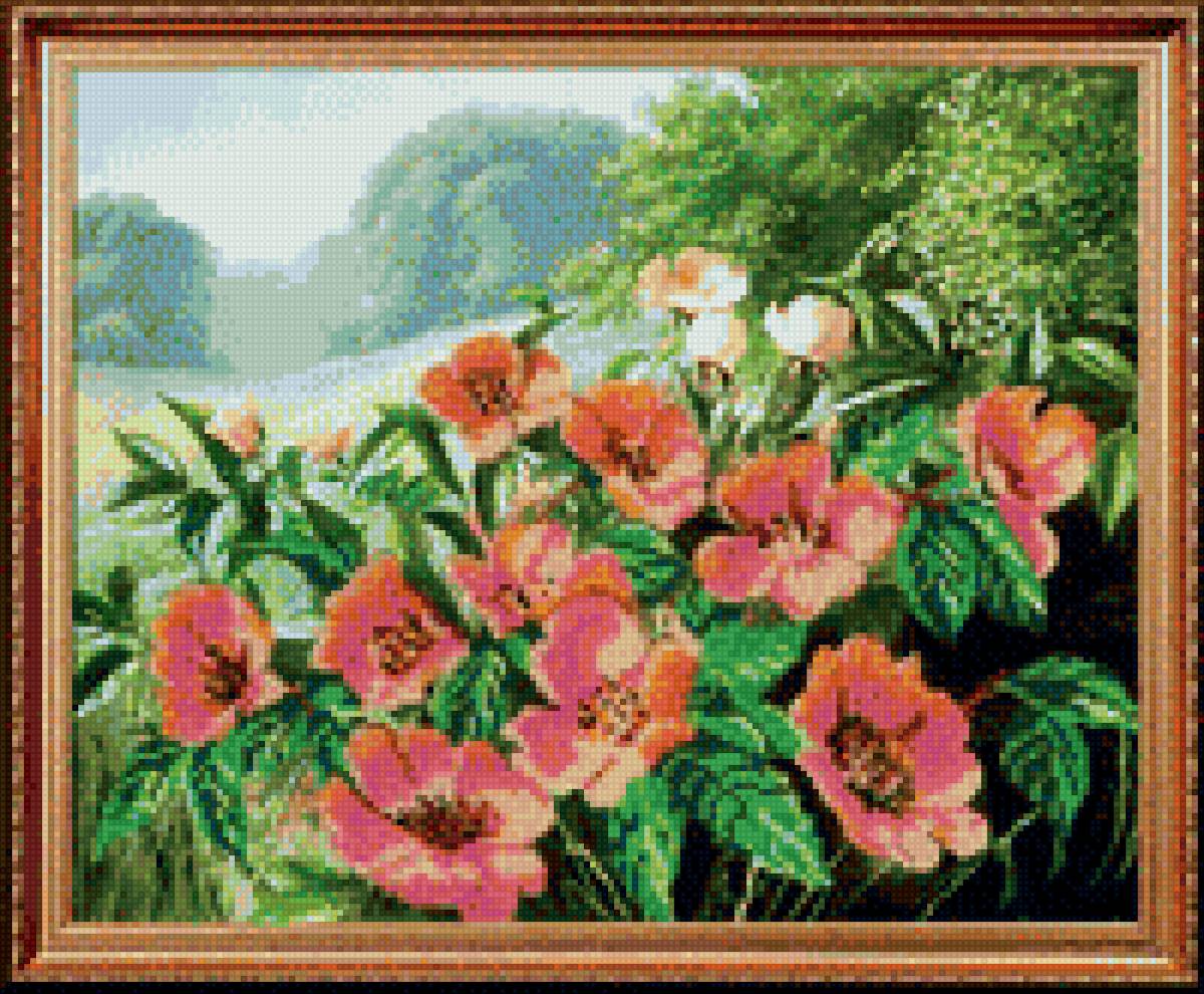 алые цветы - цветы, пейзаж - предпросмотр