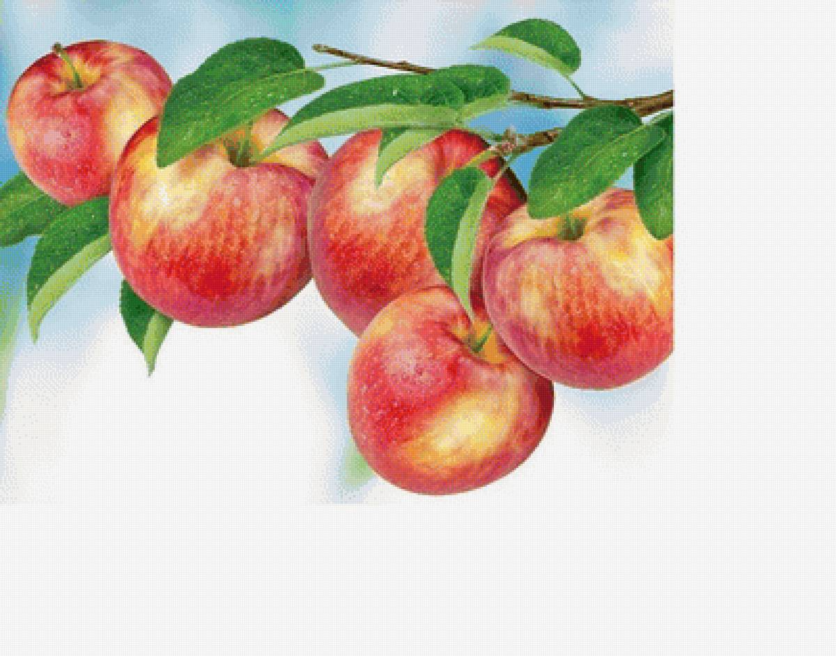 №1635619 - предпросмотр