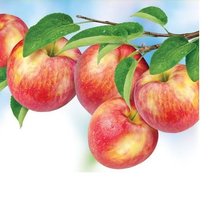 Схема вышивки «№1635619»