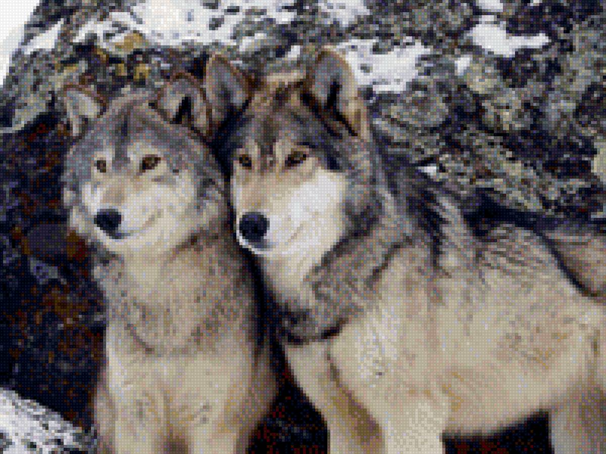 волки - волки - предпросмотр