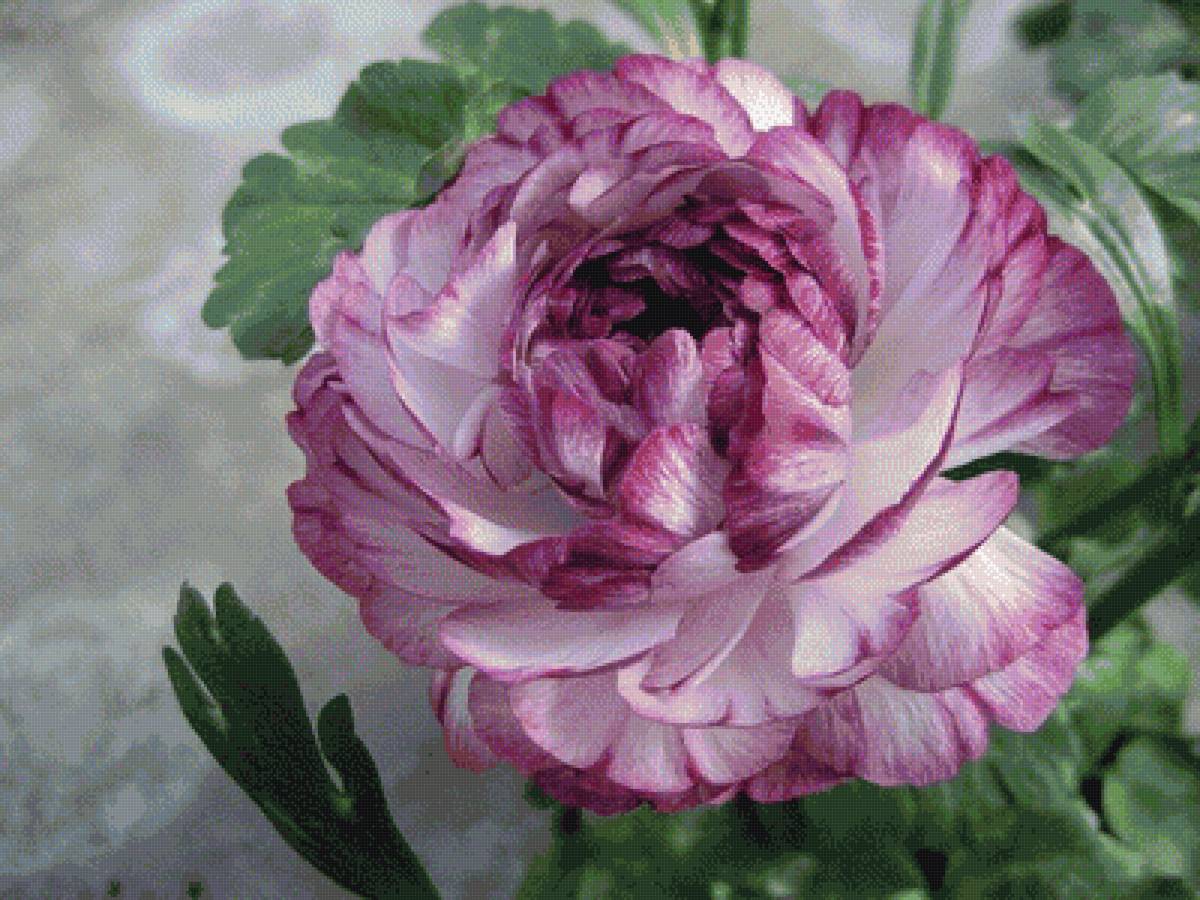 №1635753 - предпросмотр