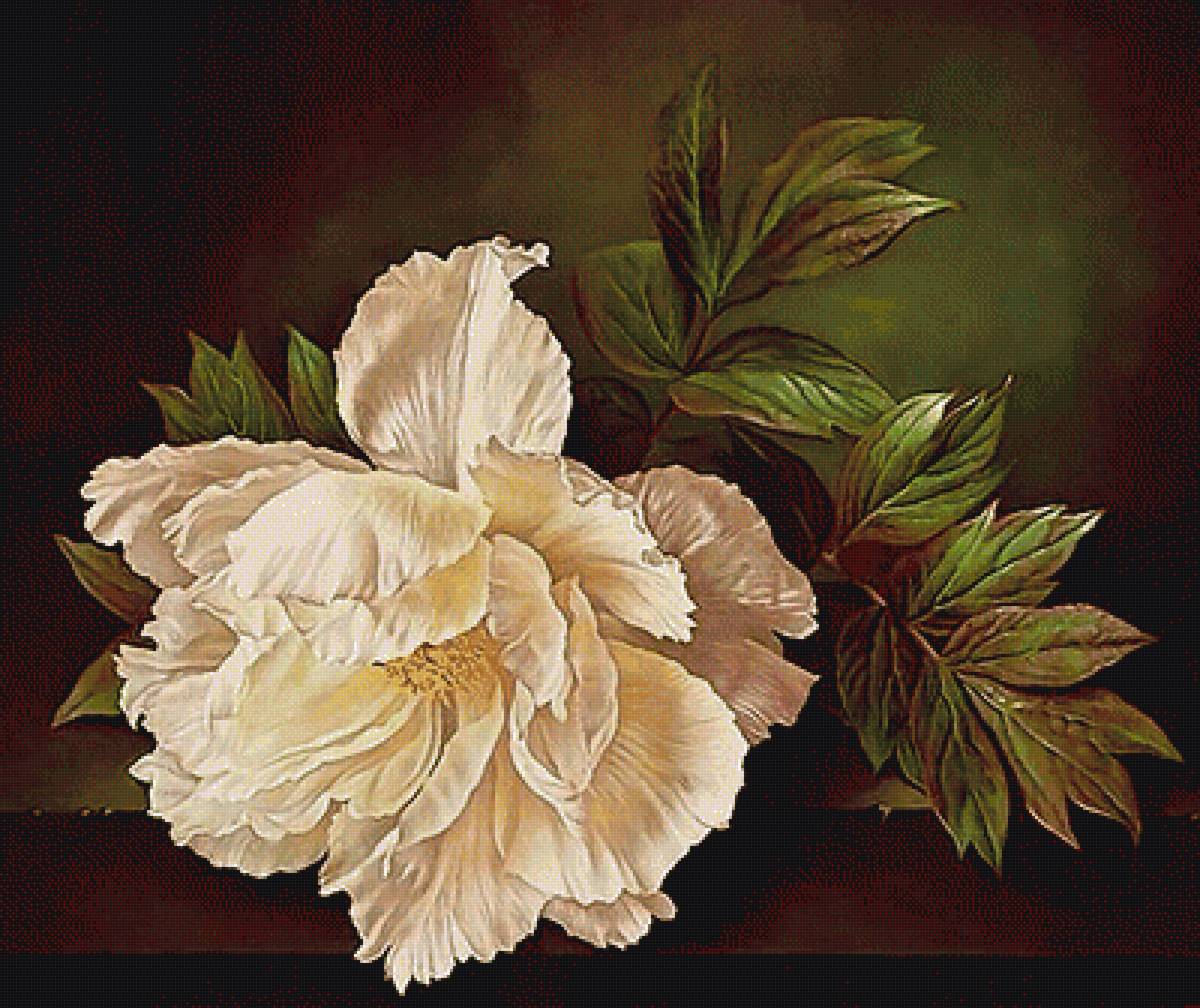 №1635755 - предпросмотр