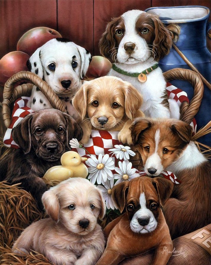 щенята - собаки - оригинал