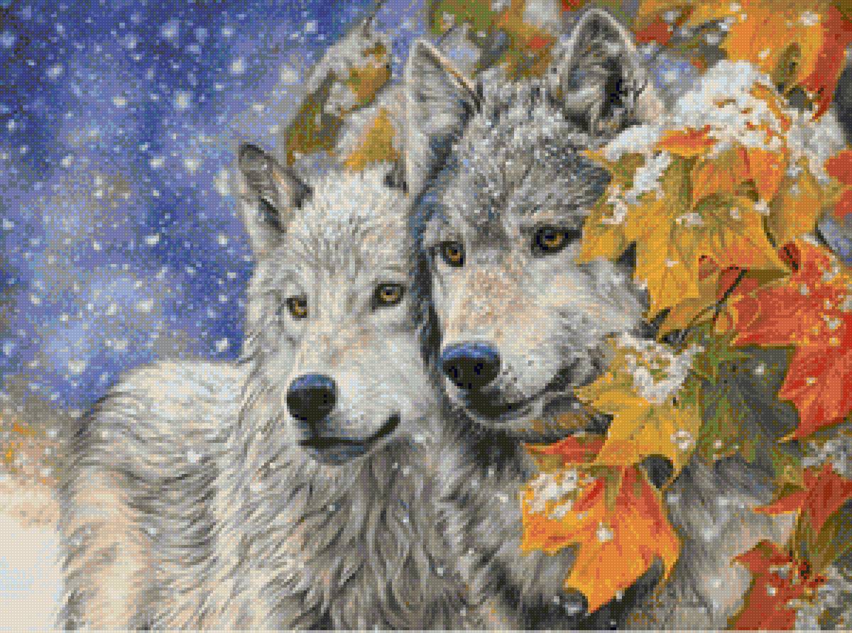 пара вовків - предпросмотр