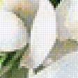 Предпросмотр схемы вышивки «Букет цветов» (№1636889)