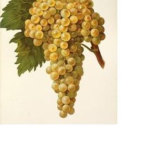 Схема вышивки «№1637074»