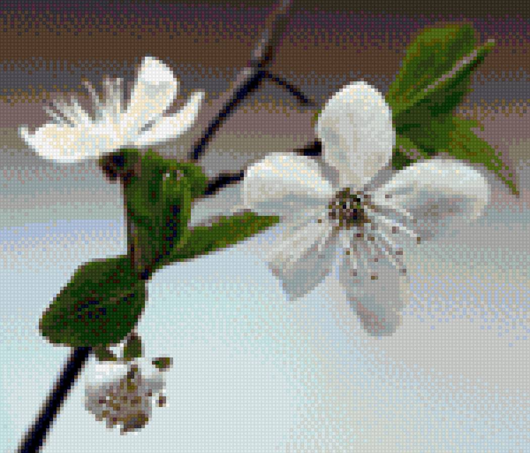 Цветы - ветка, цветы, нежность, весна - предпросмотр