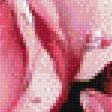Предпросмотр схемы вышивки «Розовые мечты» (№1637200)