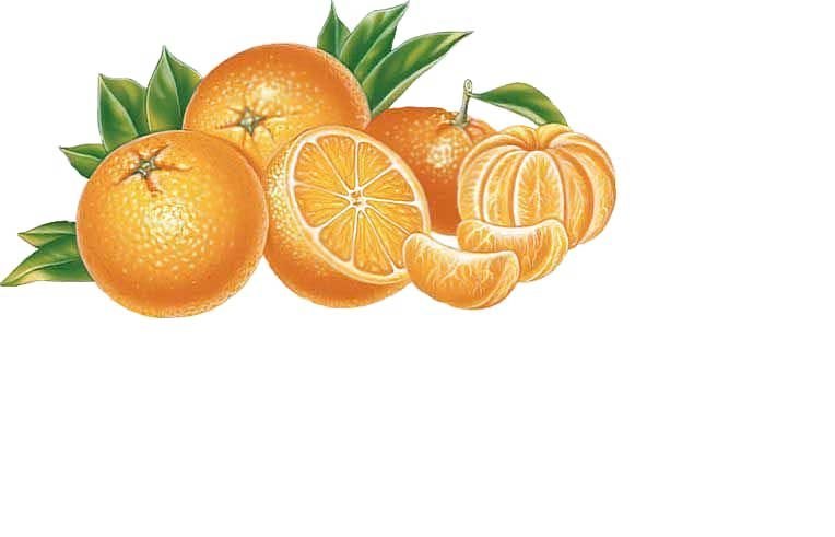 №1637295 - оригинал