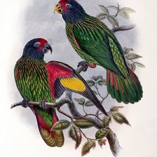 Схема вышивки «№1637697»