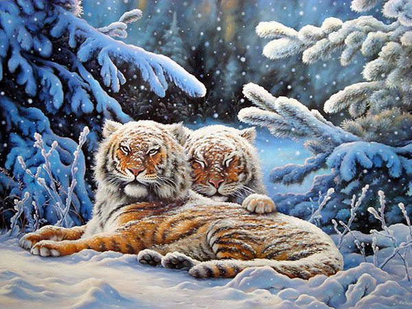 Мир животных - пара, арт, любовь, зима, лес, снег, тигр - оригинал