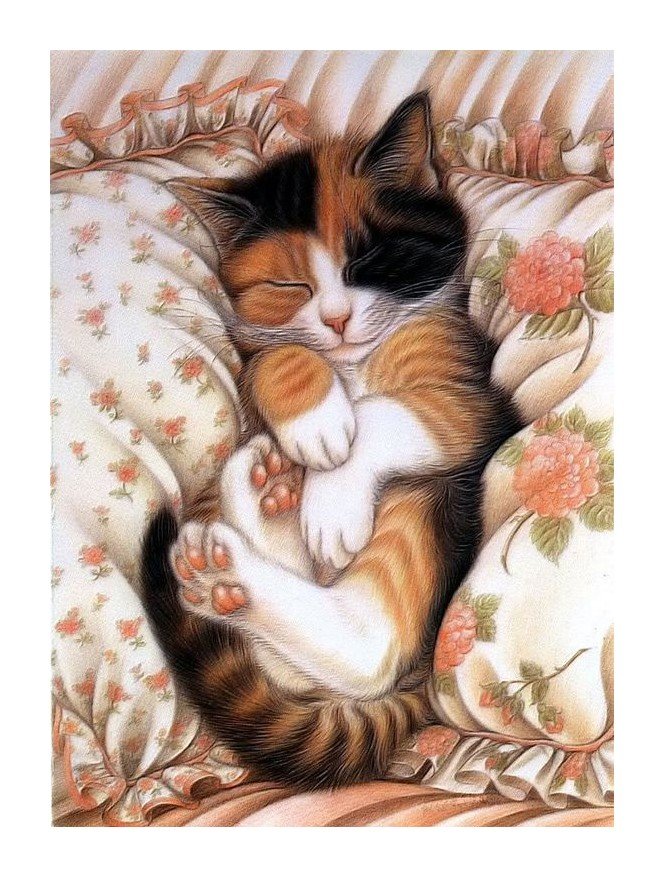 №1637889 - оригинал