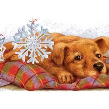 Схема вышивки «№1637891»