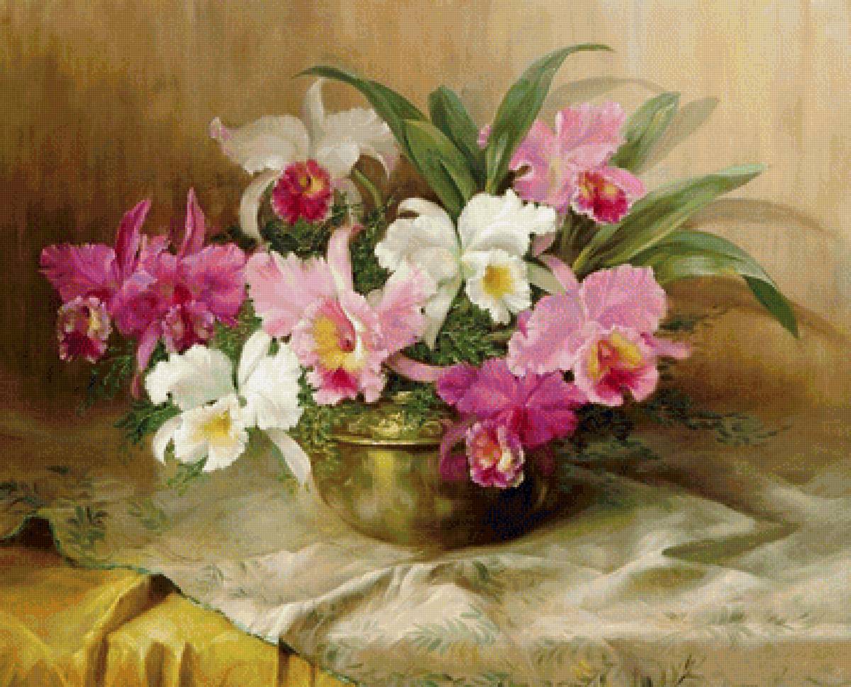 Букет орхидей - цветы, орхидеи - предпросмотр