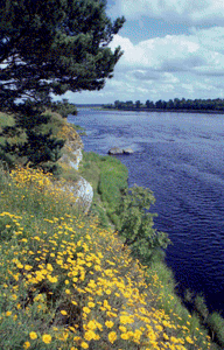 Речные просторы - река, вода, цветы - предпросмотр