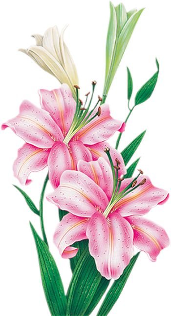 №1638612 - оригинал