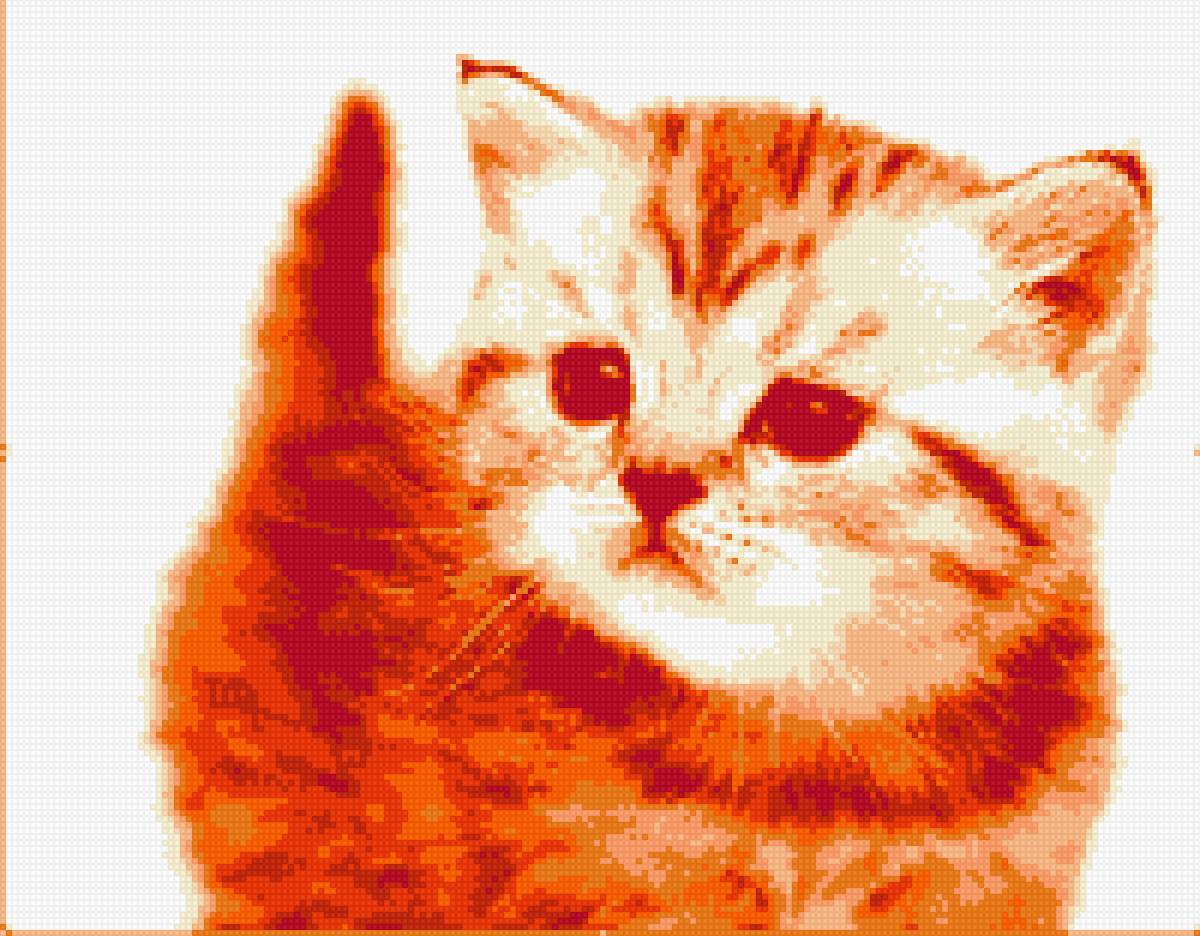 котик - предпросмотр