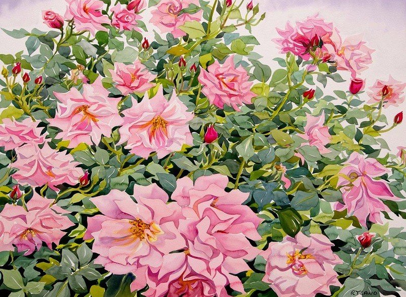 Шиповник - натюрморт, цветы - оригинал