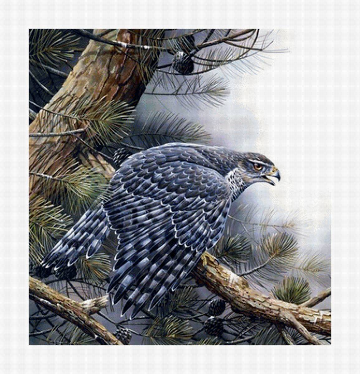 №1639869 - предпросмотр