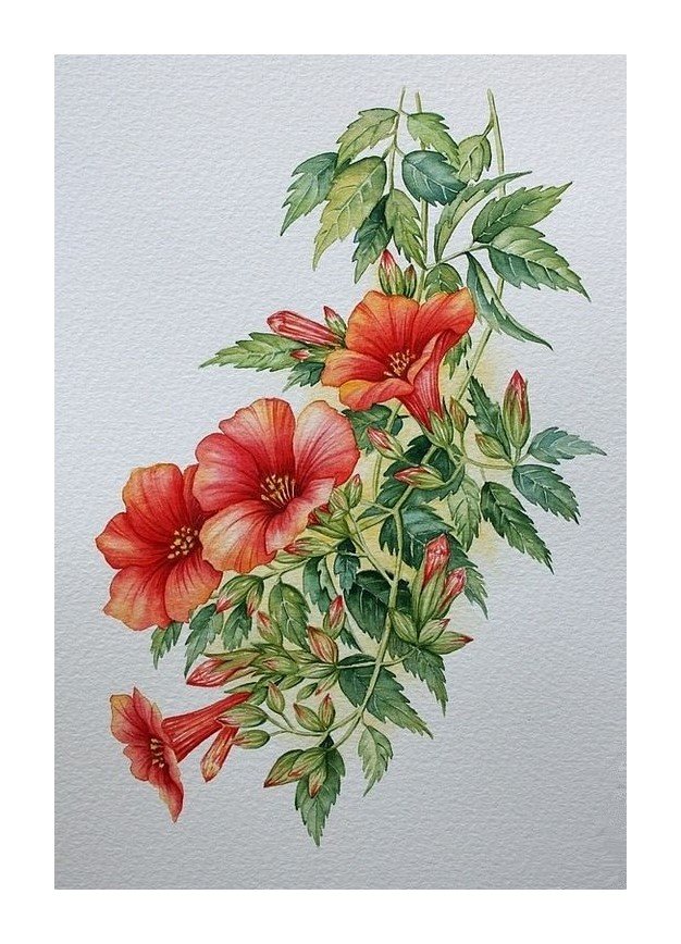 №1639871 - оригинал