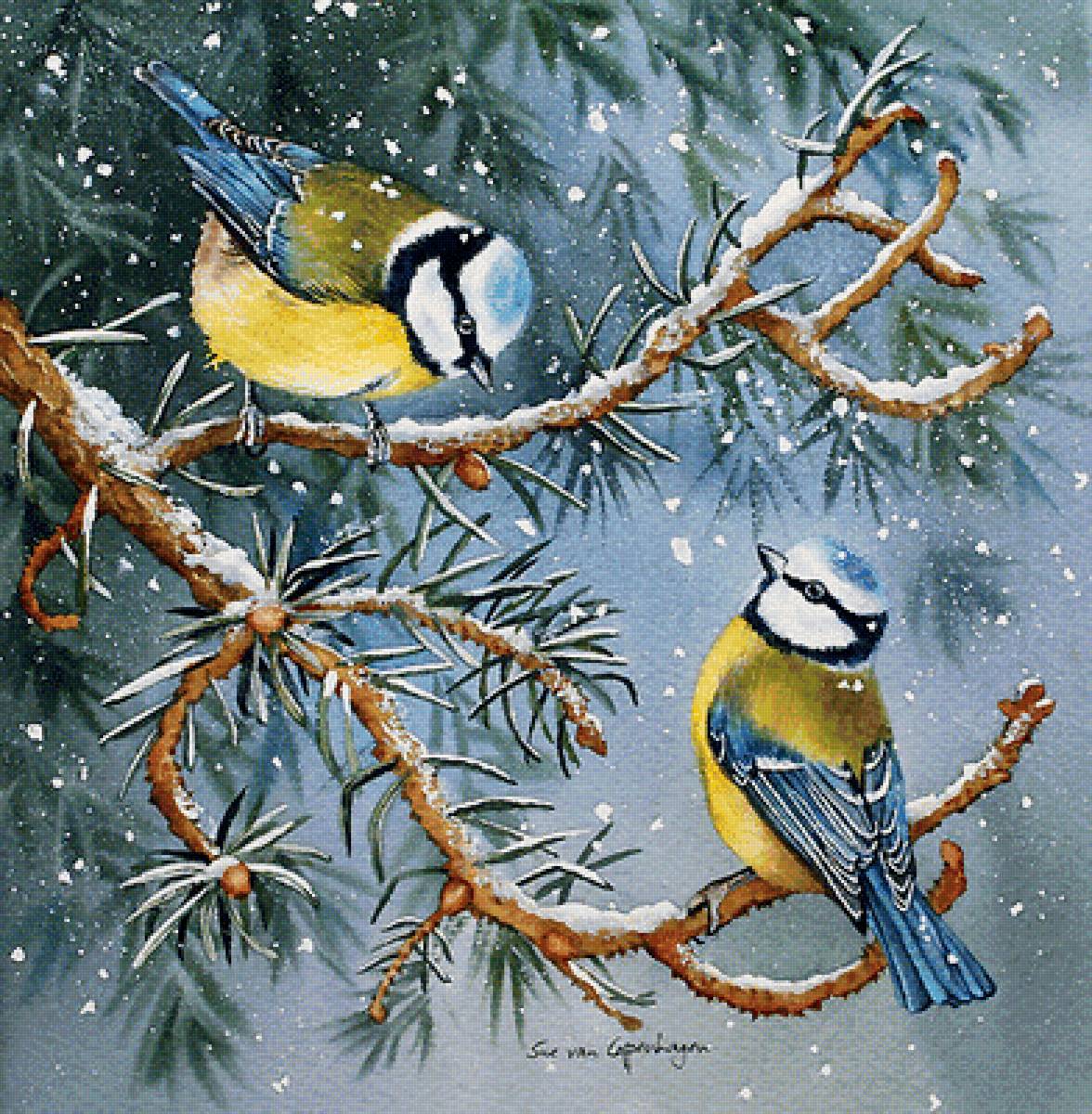 синички - природа, пейзаж, зима - предпросмотр