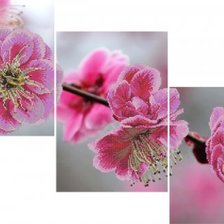 Схема вышивки «Розовая сакура»