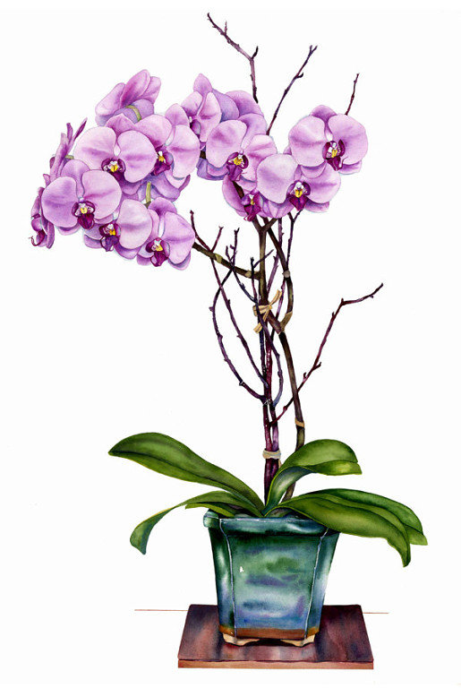 №1641301 - оригинал