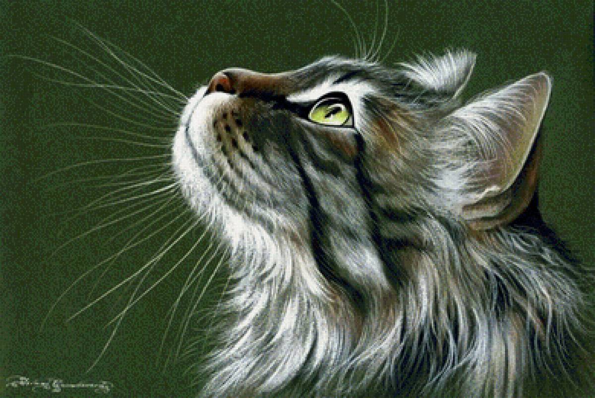 №1641441 - коты - предпросмотр