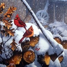 Схема вышивки «№1641477»