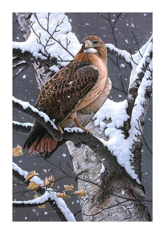 №1641478 - оригинал