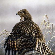 Схема вышивки «№1641479»