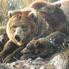 Схема вышивки «медведи»