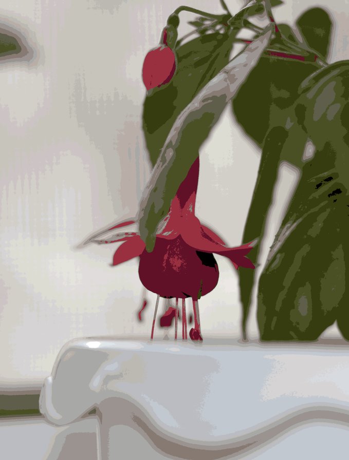 фуксия01 - оригинал