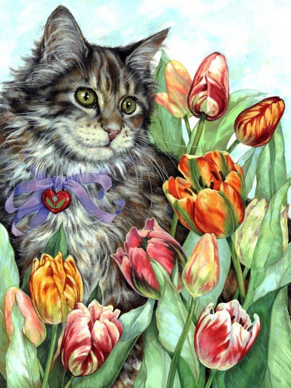 Кот и тюльпаны - коты, цветы - оригинал